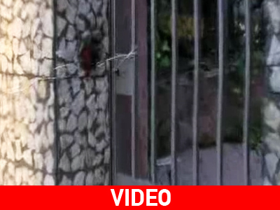 Πόλεμος για τα «κόκκινα φανάρια» στην Ηλιούπολη